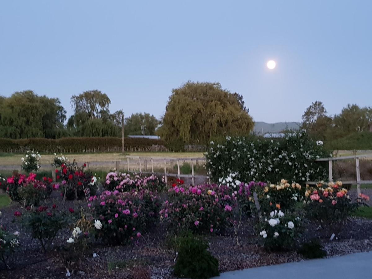 Bruntwoodlodge (Adults Only) Кеймбридж Екстериор снимка
